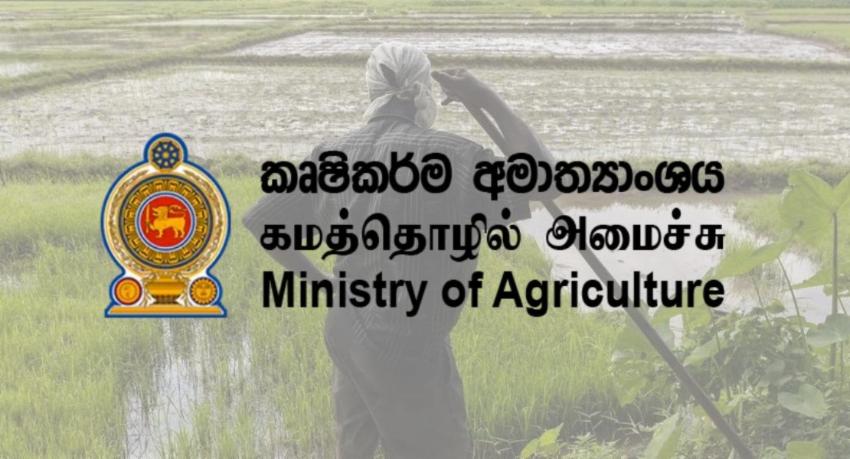Farmers Compensated for Crop Damage Amid El Niño